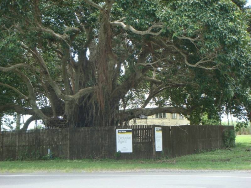 46 Bruce Highway, Bakers Creek QLD 4740