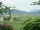 Farleigh QLD 4741
