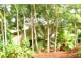13 Ian Wood Drive, Dolphin Heads QLD 4740