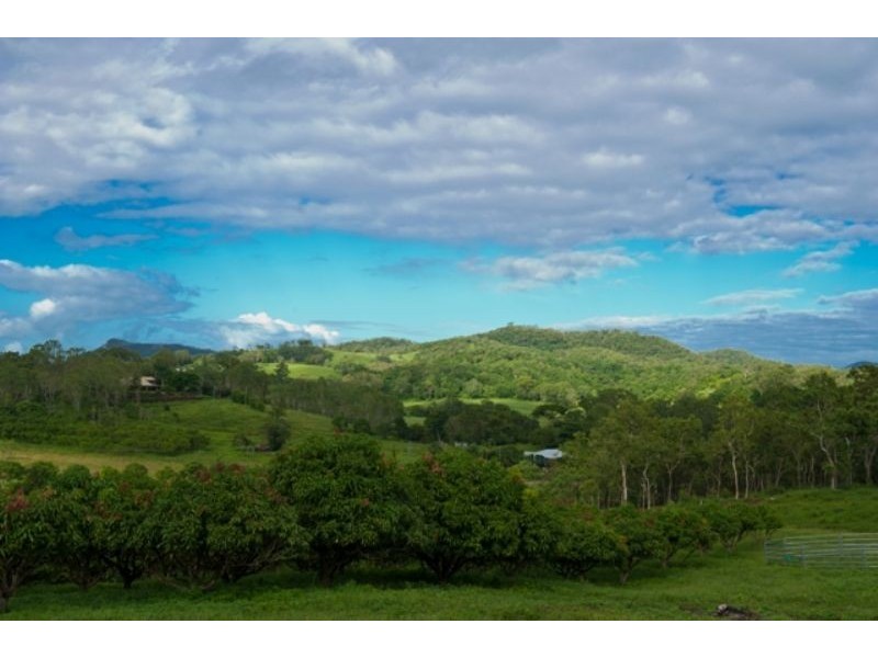 859 Yakapari-Habana Road, Habana QLD 4740