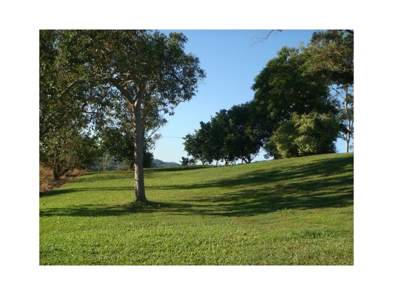 306 Sivyers Road, Habana QLD 4740