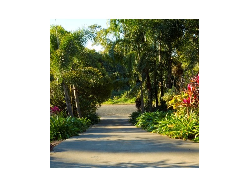 67 Ridgewood Drive, Farleigh QLD 4741