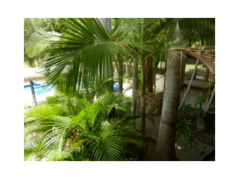 25 Annie Wood Avenue, Mount Pleasant QLD 4740