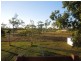 1377 Midge Point Road, Midge Point QLD 4799