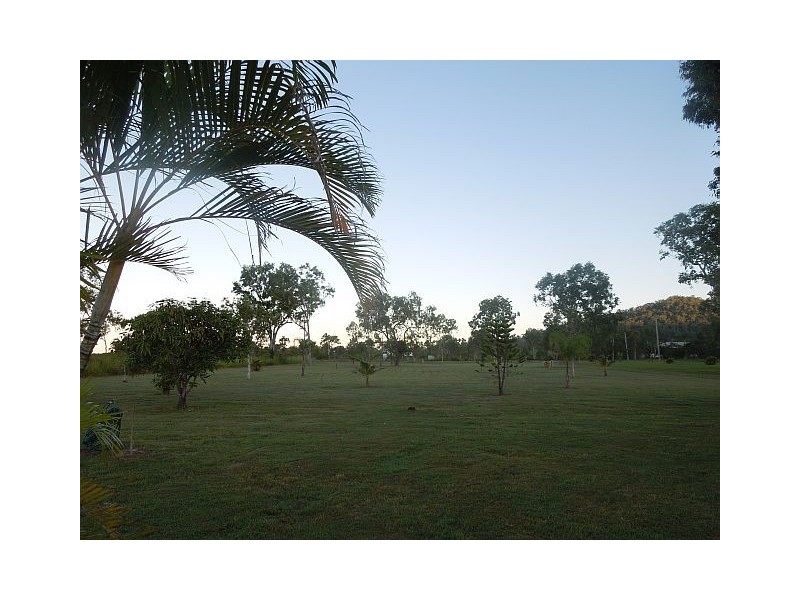 1377 Midge Point Road, Midge Point QLD 4799