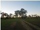 1377 Midge Point Road, Midge Point QLD 4799