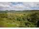 165 Gardiners Road, Habana QLD 4740