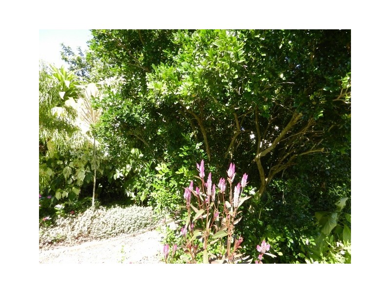 8 Flinders Court, Bakers Creek QLD 4740