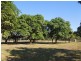 145 Elvins Road, Eton QLD 4741