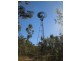 145 Elvins Road, Eton QLD 4741