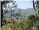 145 Elvins Road, Eton QLD 4741