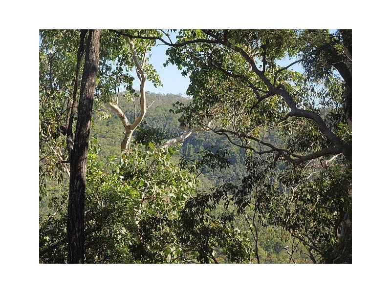 145 Elvins Road, Eton QLD 4741