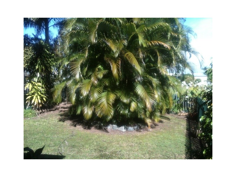 Unit 1and2 18 Meyer Street, Mount Pleasant QLD 4740