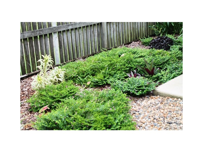 3/4 Don Wright Court, Andergrove QLD 4740