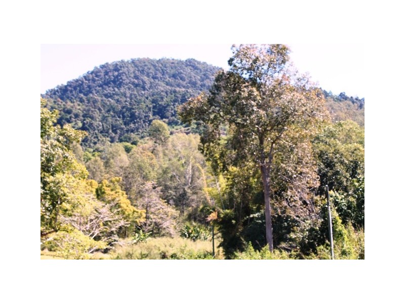 14 Thurgoods Road, Finch Hatton QLD 4756