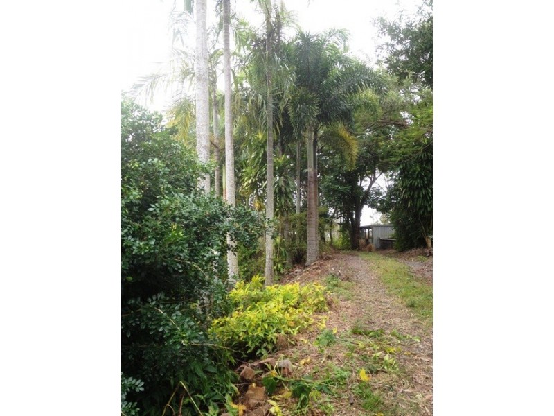 18 Pyms Court, Hampden QLD 4741
