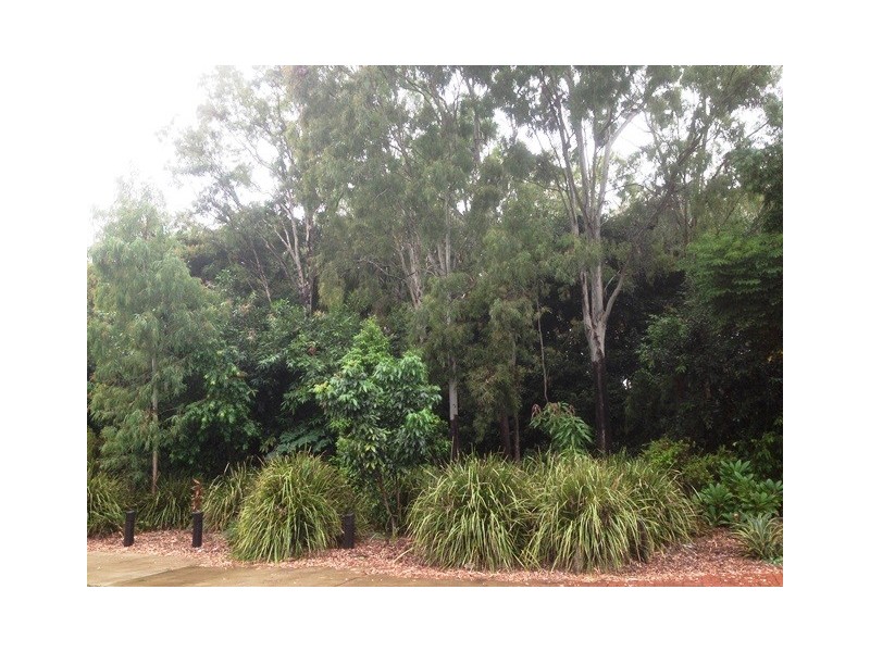 26 Duranbah Road, Blacks Beach QLD 4740
