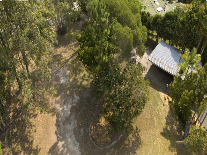 10 PINELANDS, Loganlea QLD 4131