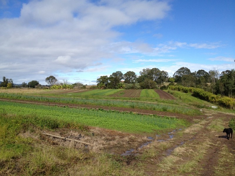 127 Wendt Rd, Chambers Flat QLD 4133