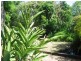102 LYNDALE ST, Daisy Hill QLD 4127