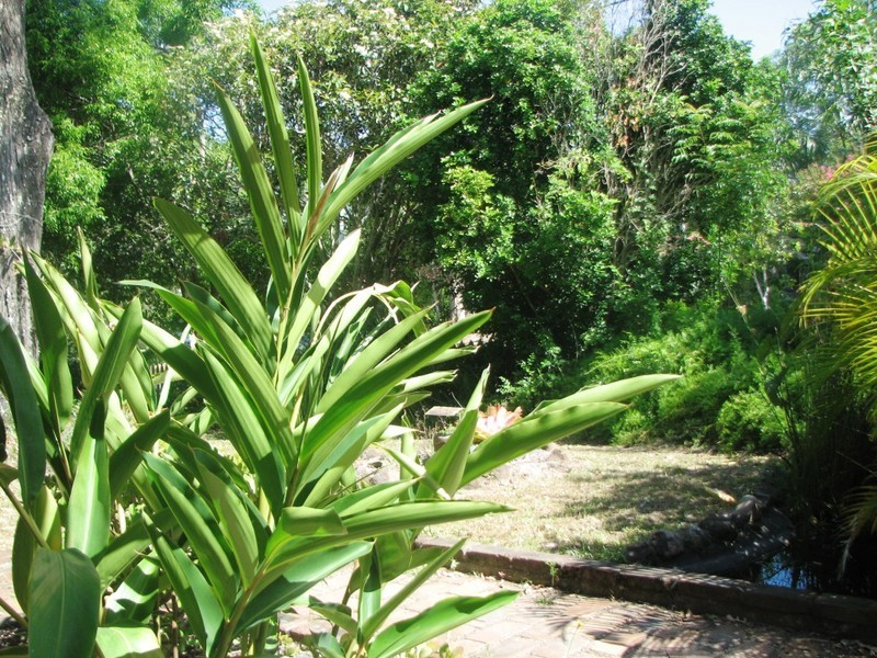 102 LYNDALE ST, Daisy Hill QLD 4127