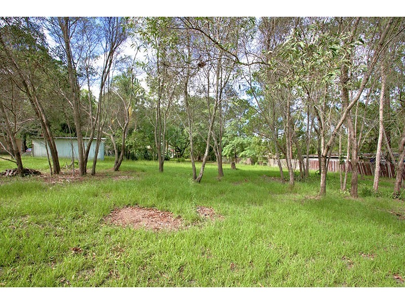 15 Spruce Street, Loganlea QLD 4131