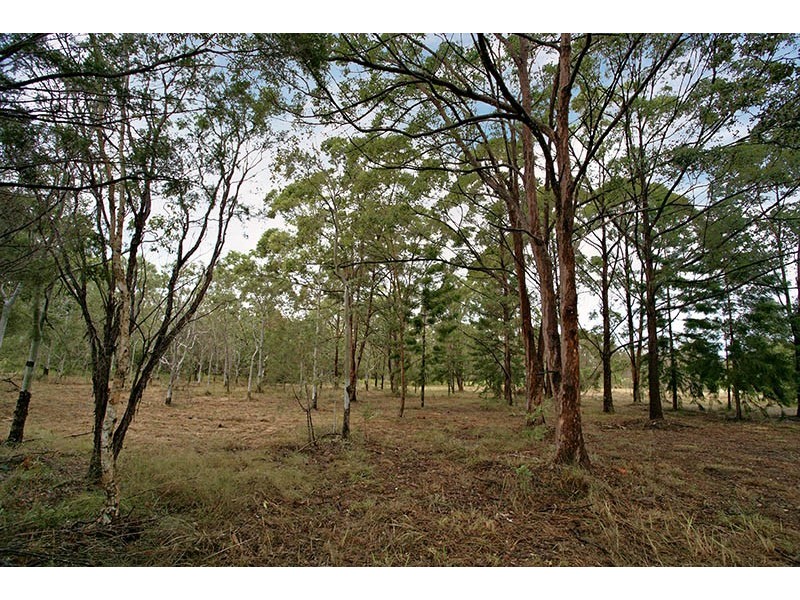 116 Bumstead Road, Park Ridge QLD 4125