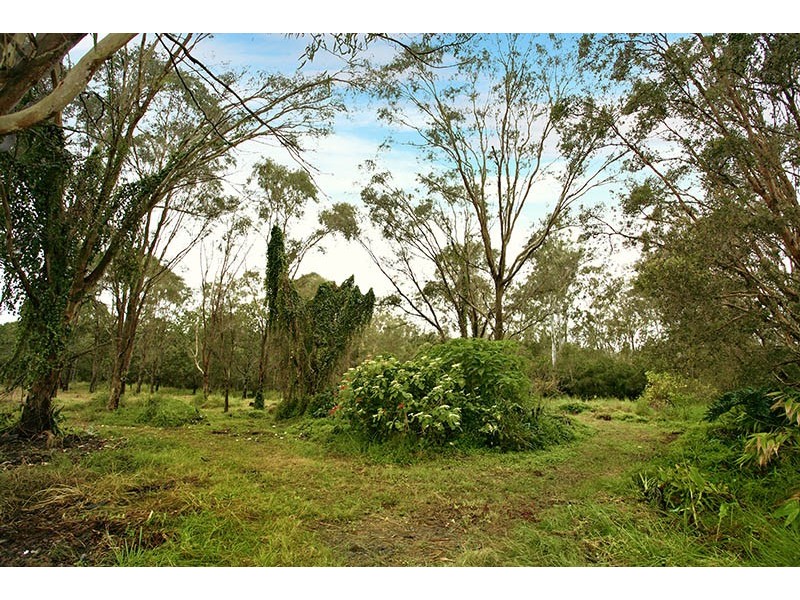 116 Bumstead Road, Park Ridge QLD 4125