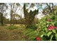 116 Bumstead Road, Park Ridge QLD 4125
