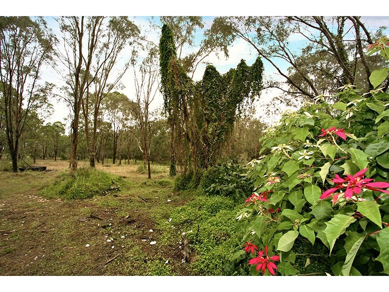 116 Bumstead Road, Park Ridge QLD 4125