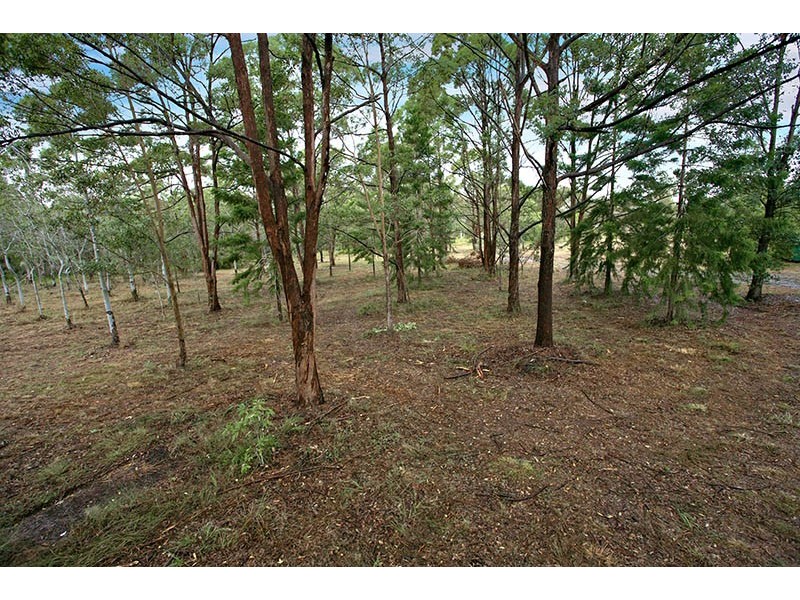 116 Bumstead Road, Park Ridge QLD 4125