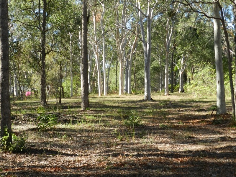 405 Chambers Flat Road, Park Ridge QLD 4125