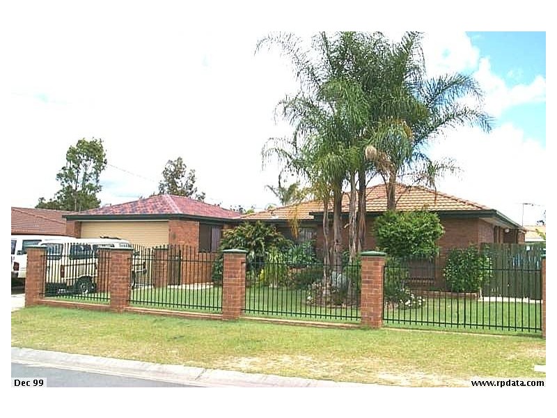 8 lycoris, Crestmead QLD 4132