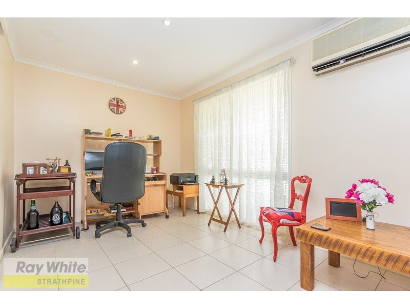 24 Macquarie Drive, Petrie QLD 4502