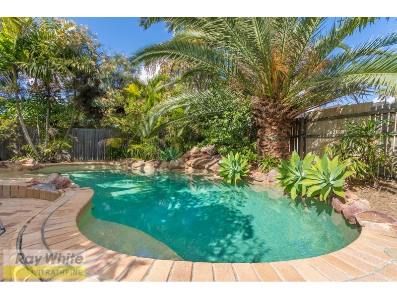 19 Paramount Drive, Warner QLD 4500