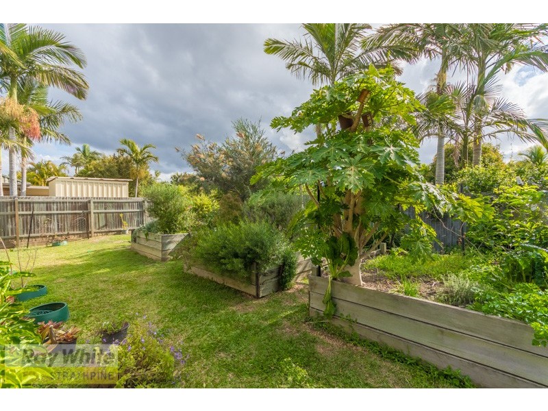 18 Gum Street, Warner QLD 4500