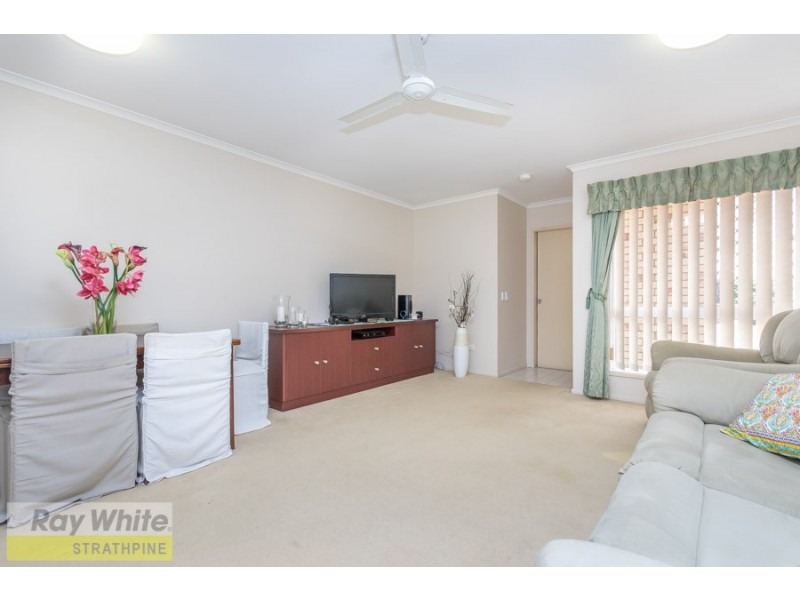 9 Torcasio Court, Brendale QLD 4500