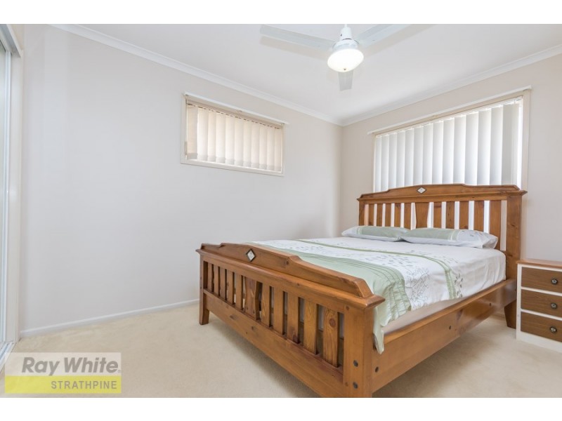 9 Torcasio Court, Brendale QLD 4500