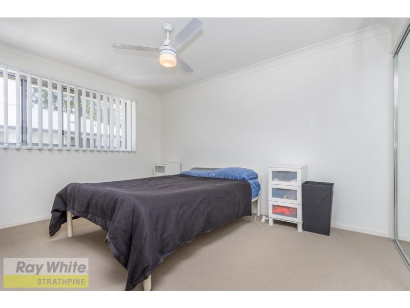 49/115 Todds Road, Lawnton QLD 4501