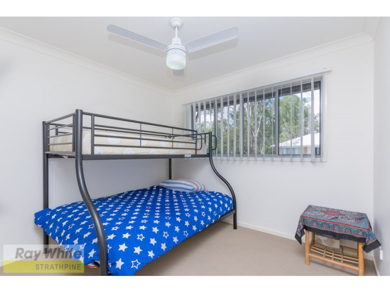 49/115 Todds Road, Lawnton QLD 4501