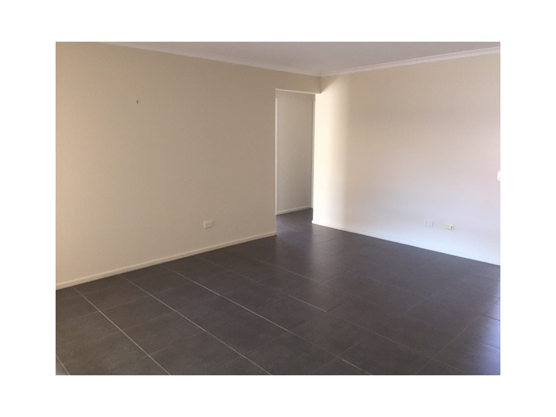 3 Torcasio Court, Brendale QLD 4500