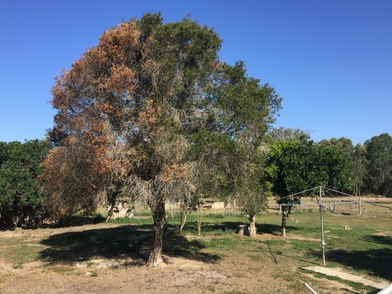 0 Lawnton Pocket Road, Strathpine QLD 4500