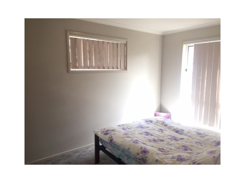 20 Raiteri Court, Brendale QLD 4500