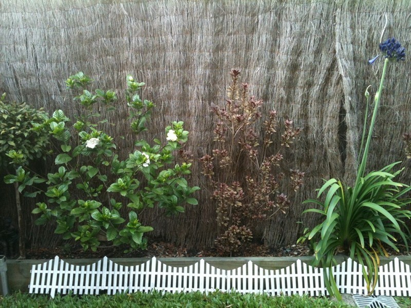 8/51 Bells Pocket Road, Strathpine QLD 4500