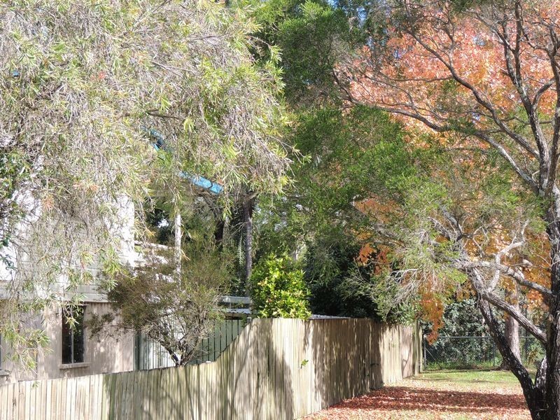 143 Spitfire Avenue, Strathpine QLD 4500