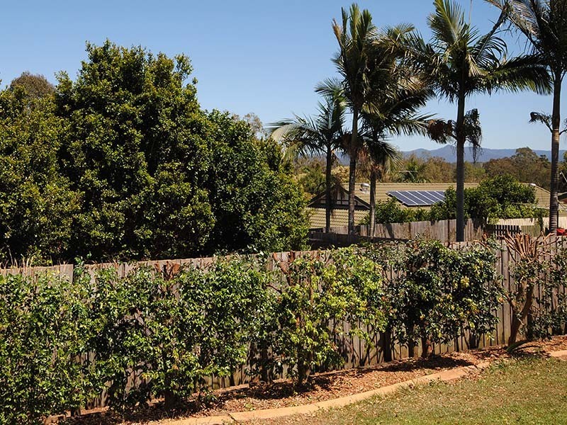 3 Ritchie Court, Petrie QLD 4502
