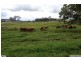 Belli Park QLD 4562