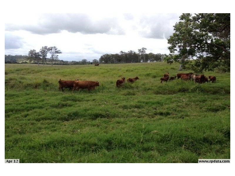 Belli Park QLD 4562