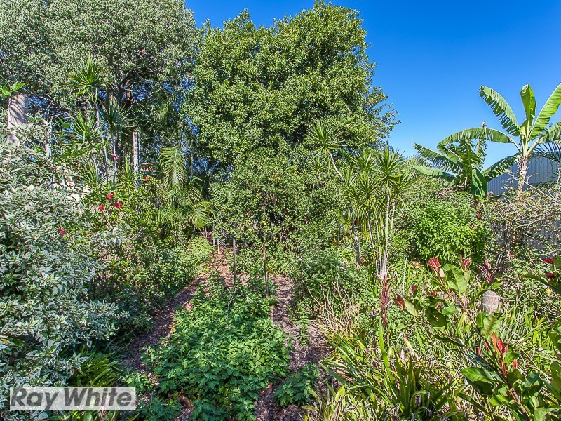 69 Windrest Street, Strathpine QLD 4500
