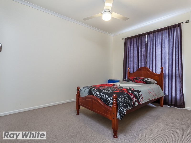 13 Pohlman Court, Brendale QLD 4500